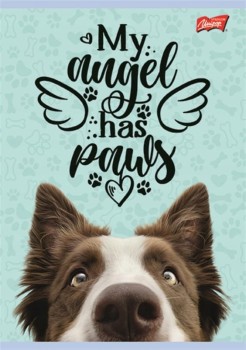 fa354fa50156a6d74ee39d96e3d55fe1