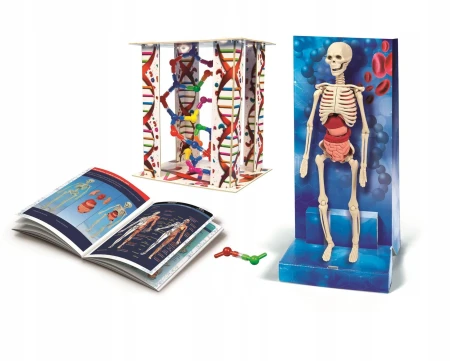 6e313b919cedb8380ea23f7149e826ba