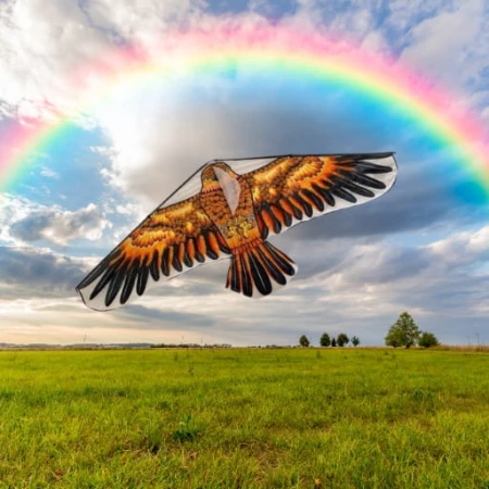 9f32de610042cef4997f9dd4161a4156