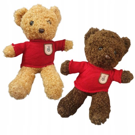 729538cdb5dcb173922b9c7caedf5c01