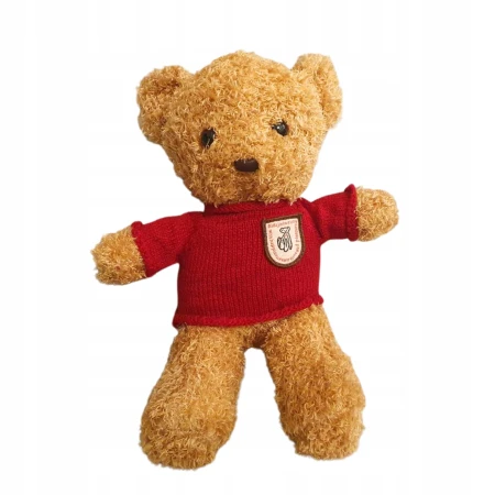 ed55106c91c8319eb953e8c1649e155a