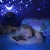 bed10f8d9a8fc2b6e03d576f4bf6e9e8