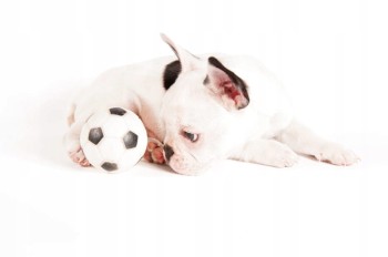 ea71c0827d6c6ce594c82f6853f498c7