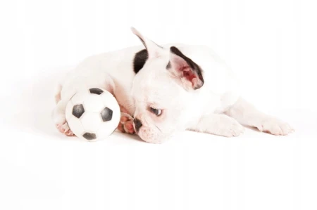 ea71c0827d6c6ce594c82f6853f498c7