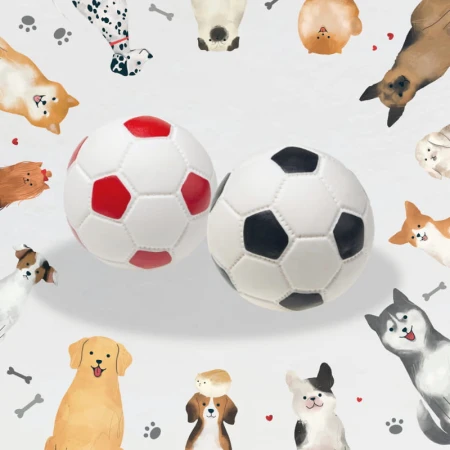 ca863687b32f65bb9299bdcf3b44ac06