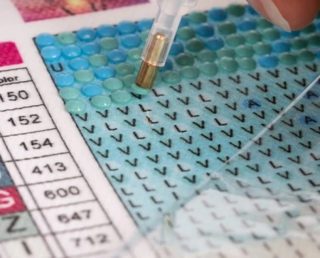 cef057c2d8ec3bedee63a11b7efe14ff